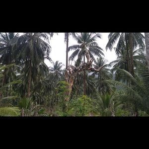 Meet your Posher, Sophie